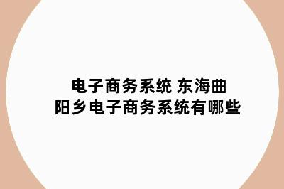 电子商务系统 东海曲阳乡电子商务系统有哪些
